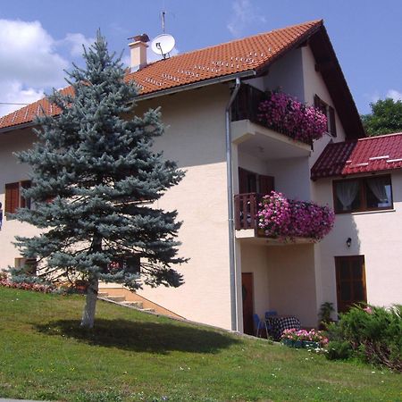 Guesthouse Hodak Seliste Dreznicko Exterior foto