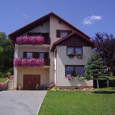 Guesthouse Hodak Seliste Dreznicko Exterior foto