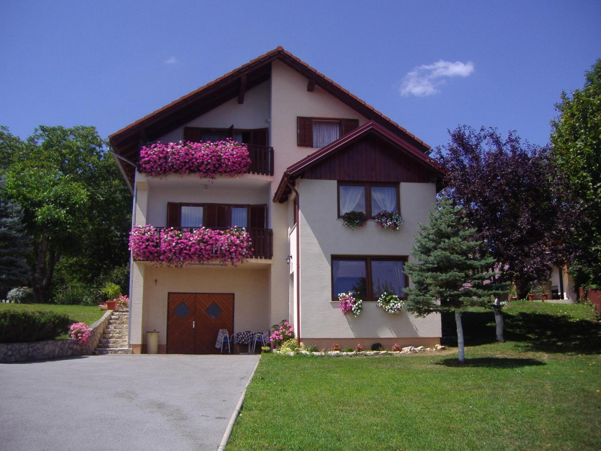 Guesthouse Hodak Seliste Dreznicko Exterior foto